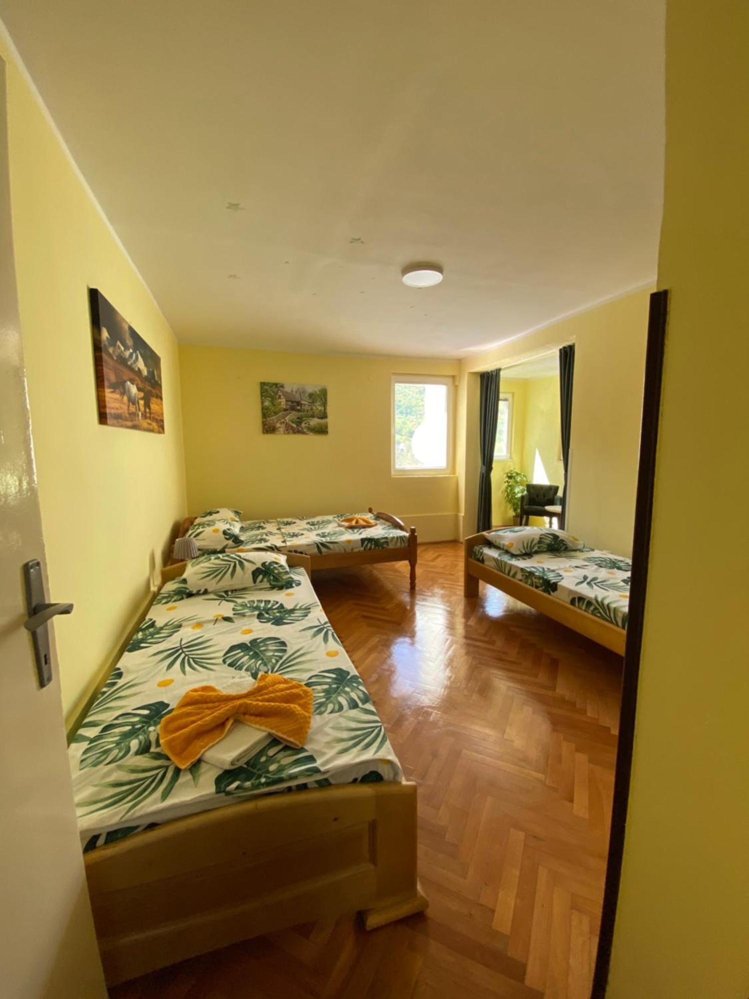 Apartman Sara ปลูชิเน ภายนอก รูปภาพ