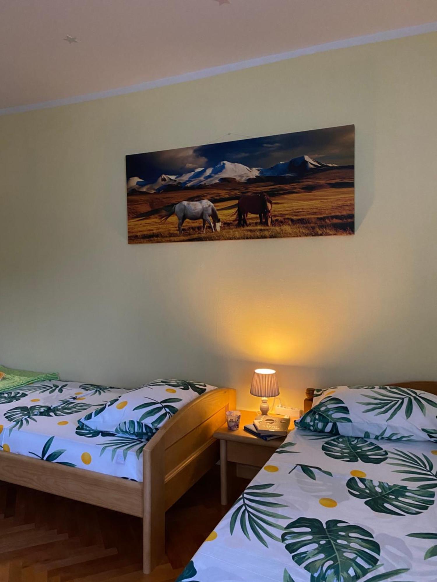 Apartman Sara ปลูชิเน ภายนอก รูปภาพ