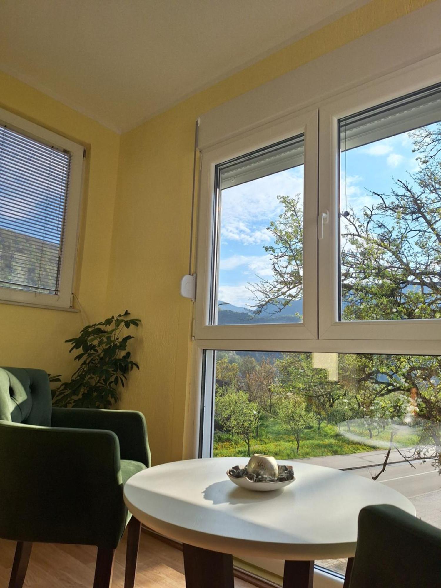 Apartman Sara ปลูชิเน ภายนอก รูปภาพ